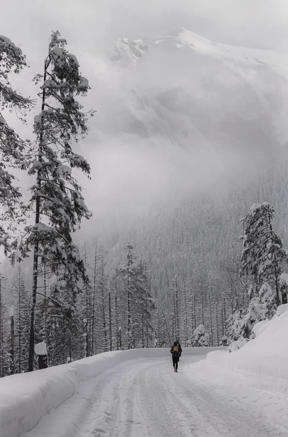 Street // Documentary